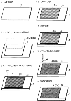 プロテインチップ